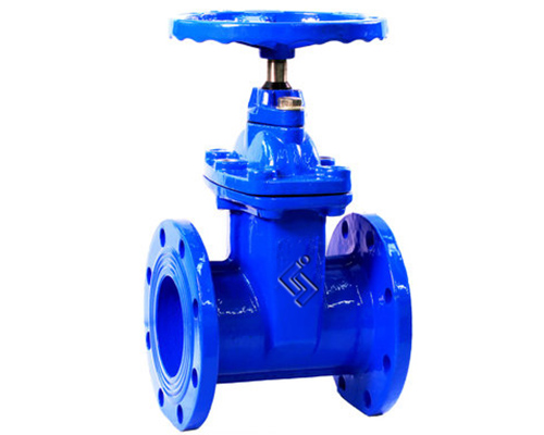 Flange gate valve.jpg